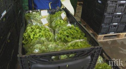 агенцията храните проверява достатъчно български стоки големите хранителни магазини