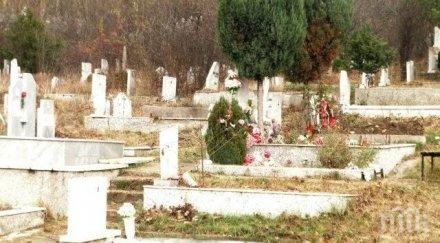 общината перник осигурява безплатен транспорт задушница минути