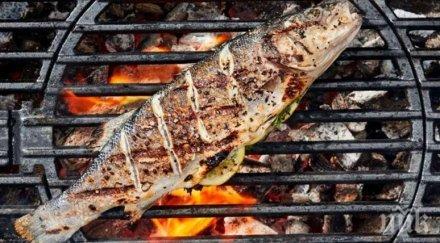 руска онколожка месото барбекю причинява рак