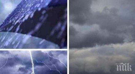 неканени гости двойка флорида открила дома