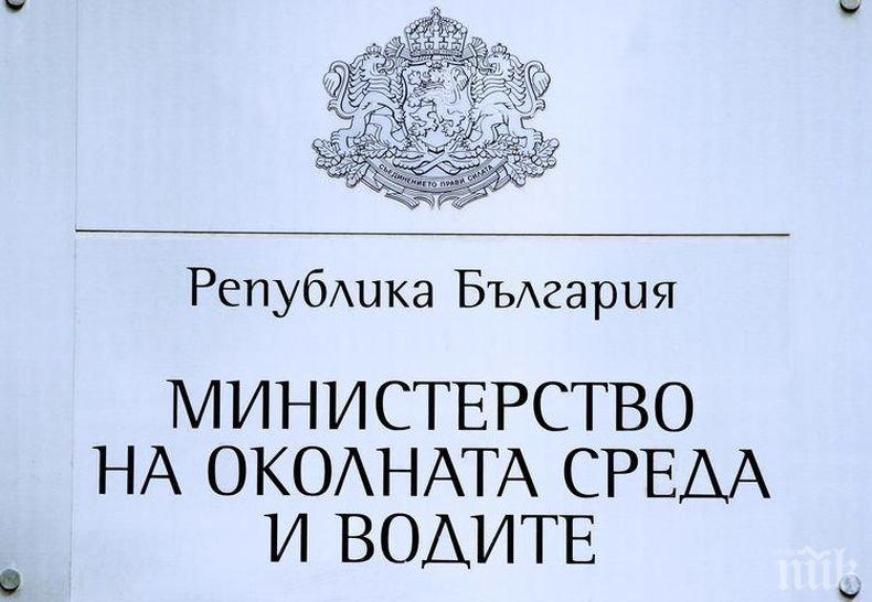 Славея Стоянова ще поеме официално поста заместник-министър на околната среда