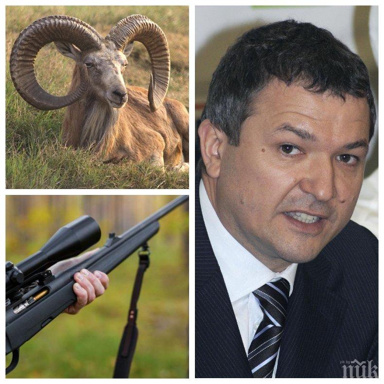 СКАНДАЛ В ПИК! Пламен Бобоков отстрелял защитен овен в Киргизия - милионерът от аферата с боклука довлякъл от Камчатка и 3-метрова мечка