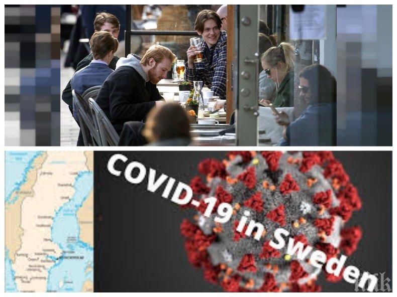 Главният епидемиолог на Швеция си посипа главата с пепел: Стратегията ни за COVID-19 имаше грешки