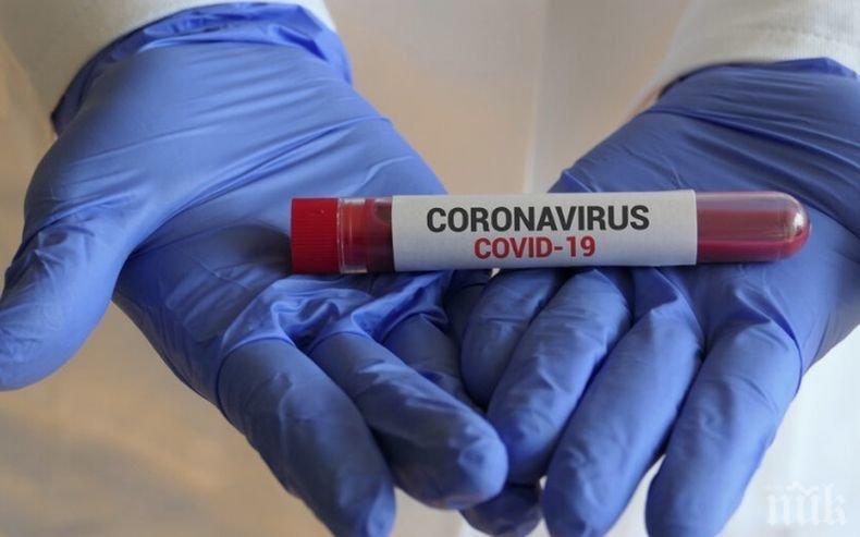 Над 6 287 000 са потвърдените случаи на заразяване с коронавируса по света

 