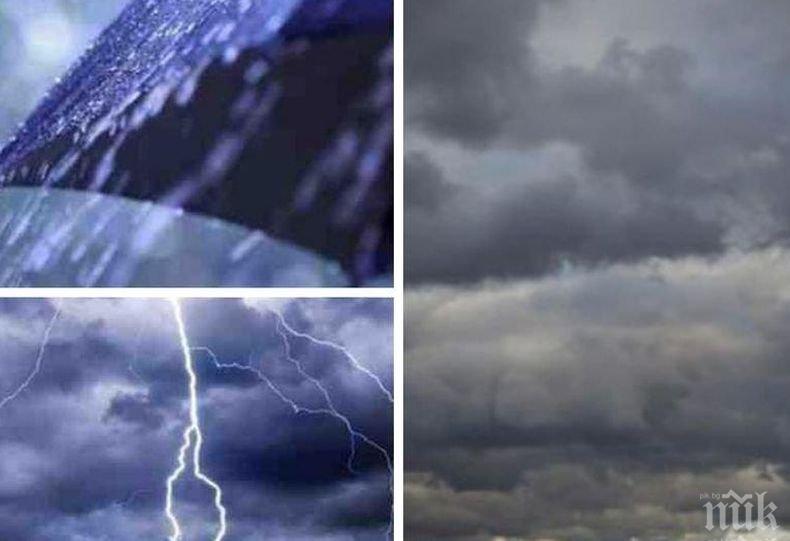 Неканени гости: Двойка от Флорида открила пред дома си...