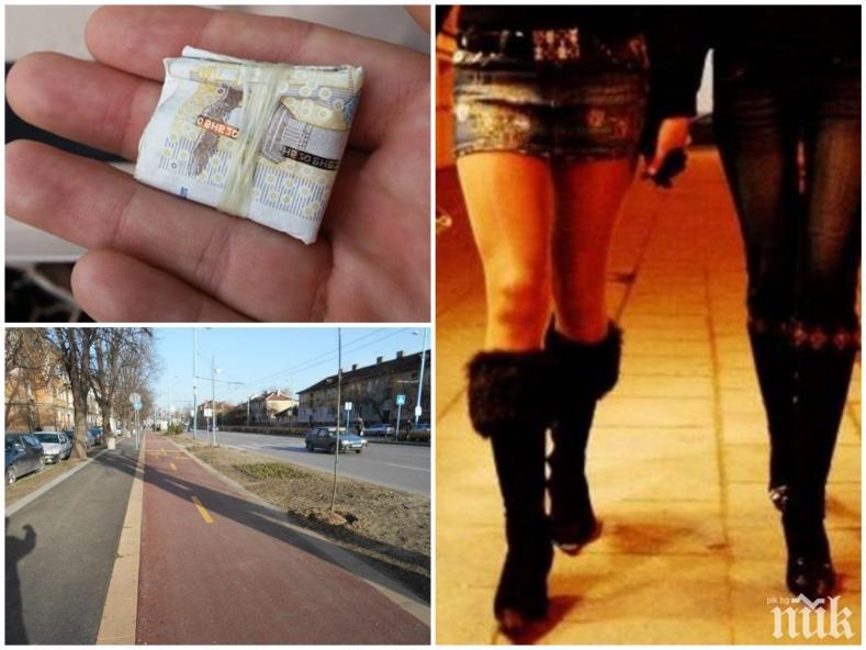 Осъдиха мъжка проститутка от Алеята на любовта в Пловдив