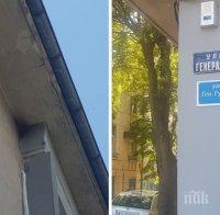 Диви-пчели убийци нападнаха дете в центъра на Бургас, Спецзвено на пожарната отцепи района