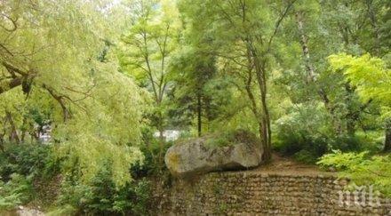 акция почистват коритото река лева