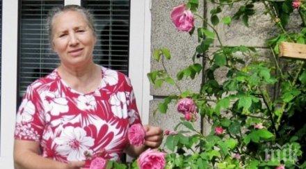 прочутата родопска лечителка севинч балакчъ пийте капки клеева тинктура вируса