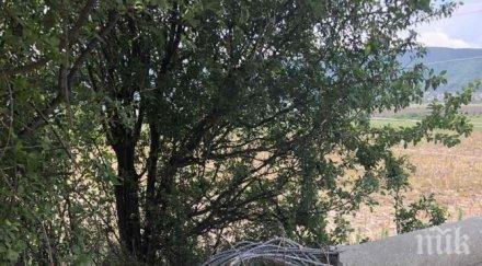 потрошиха стълба чез софия снимки