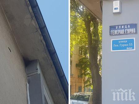 Диви-пчели убийци нападнаха дете в центъра на Бургас, Спецзвено на пожарната отцепи района