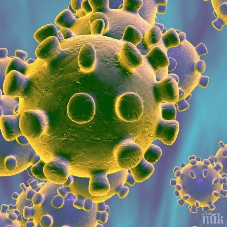 УЧЕНИ: Коронавирусът с необратими последствия за здравето - излекувани остават без обоняние и вкусови рецептори
