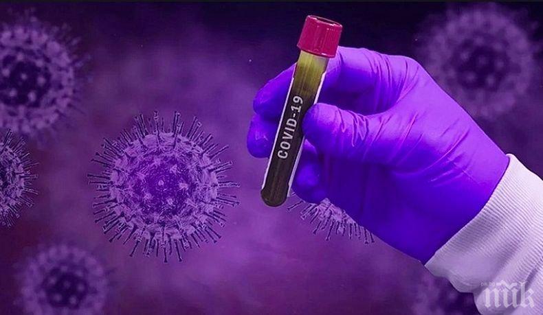 СЗО: Броят на жертвите на коронавируса по света вече е над 400 000 души