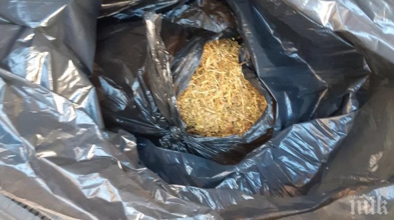 165 кг нелегален тютюн иззеха в Плевенско