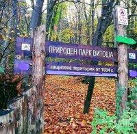Фандъкова отпуска 130 000 лева за инфраструктурата на Витоша