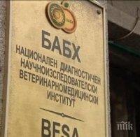 Земеделци пишат до Борисов: Искат ни 420 лв. за изследване на плодове и зеленчуци 
