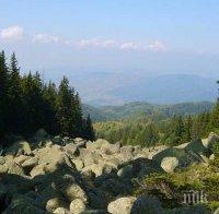 Отварят музеите на Витоша в понеделник