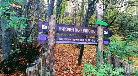 фандъкова отпуска 130 000 лева инфраструктурата витоша
