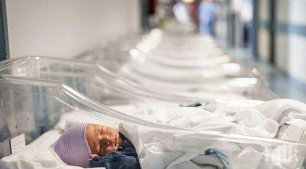 бебетата сурогатните майки украйна вече родителите