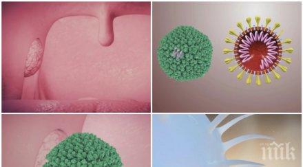 инфекционист успокои страстите разпределението covid огнища притеснително