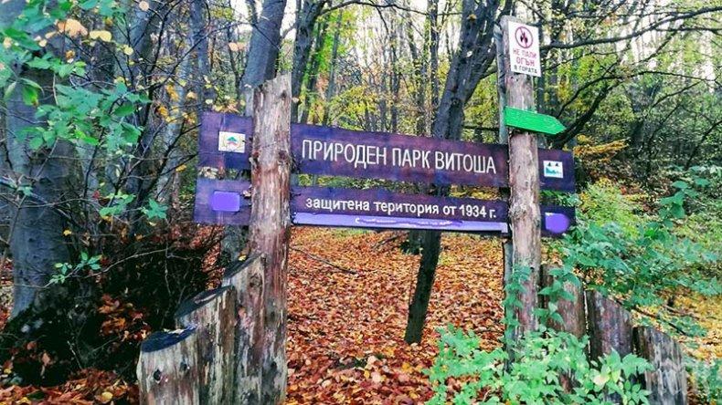 Фандъкова отпуска 130 000 лева за инфраструктурата на Витоша