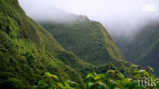 Бойко Борисов работи за държавата. А чиновници работят за загуба на европари по околна среда