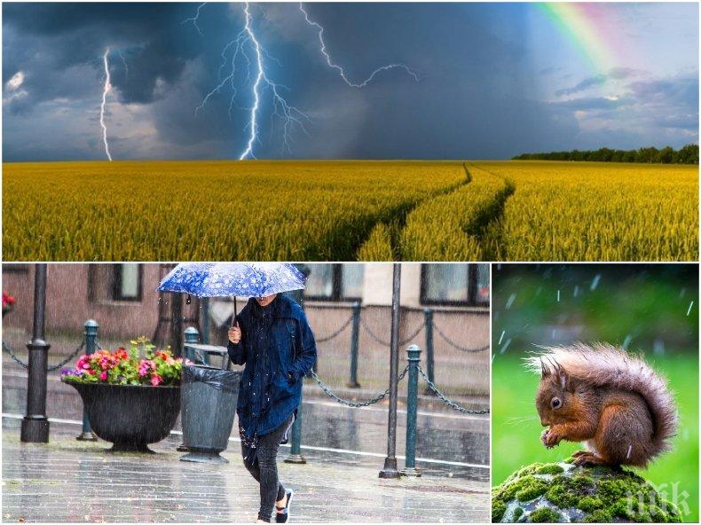 И ДНЕС ДЪЖД! Интензивни валежи и гръмотевици в цяла България (КАРТА)