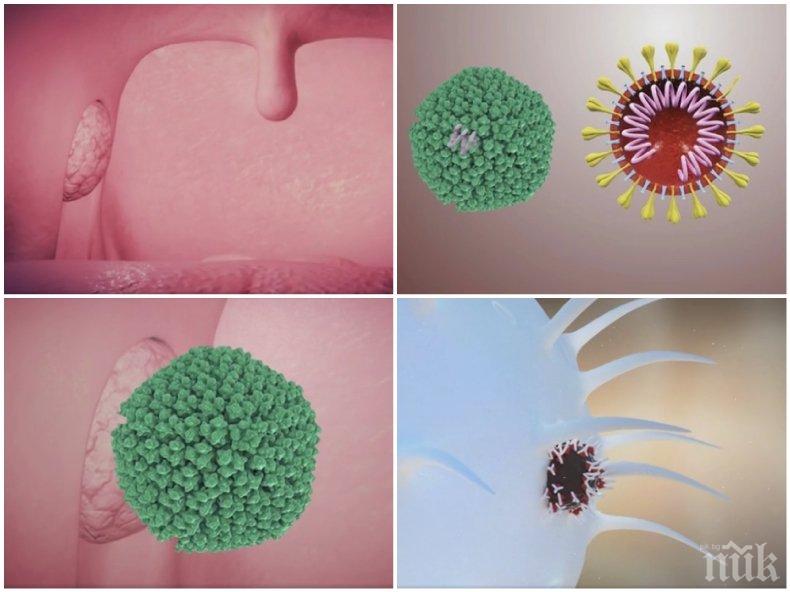 Инфекционист успокои страстите: Разпределението на COVID-19 по огнища не е притеснително