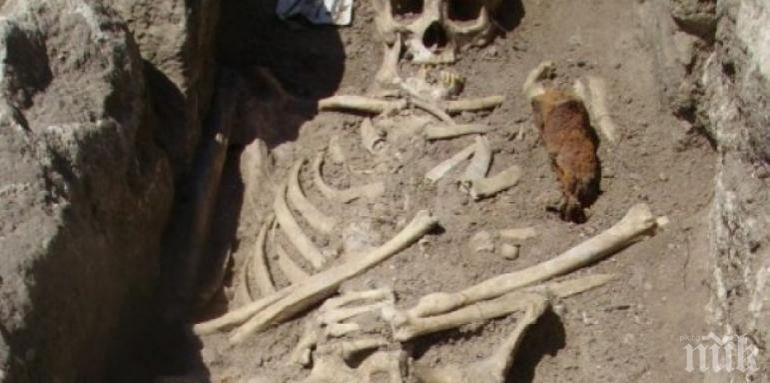 След повече от 30 години бяха възобновени археологическите разкопки на
