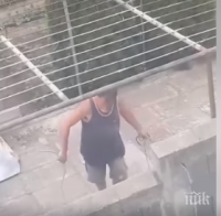 Пращат зоополиция на стопанин за гаври с куче