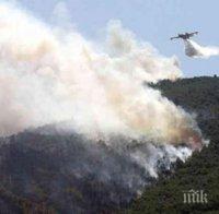 Пожарникари се борят с огнена стихия в горите на Атон