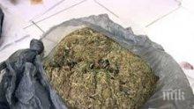 Шест килограма канабис иззеха при полицейска акция в Сливен