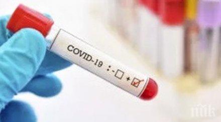 ужасът кърджали двама заразени covid лекарката затвориха цял шивашки цех