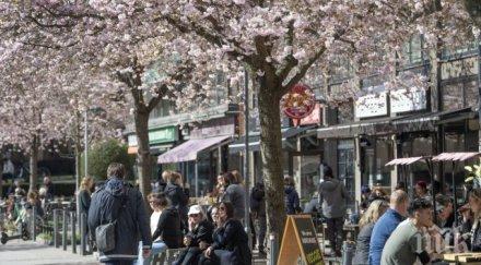 швеция обяви 000 заразени коронавируса