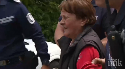 убийците котки враждебна заплашвали съседите