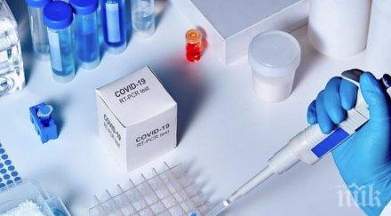 241 заразените коронавируса беларус