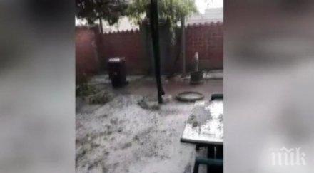 градушка размер грахово зърно падна раковски