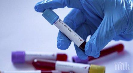 четири случая коронавирус търговищко