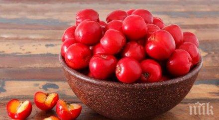 плодът високо съдържание витамин