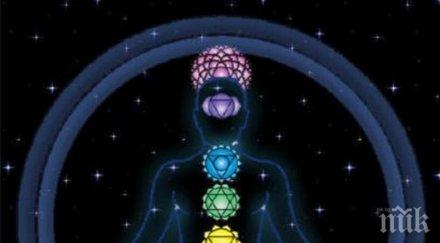 магнетичните жени зодиака