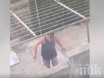 Пращат зоополиция на стопанин за гаври с куче