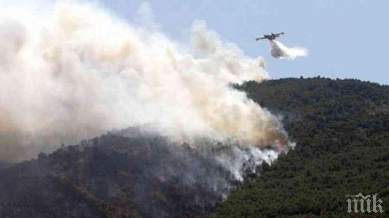 Пожарникари се борят с огнена стихия в горите на Атон