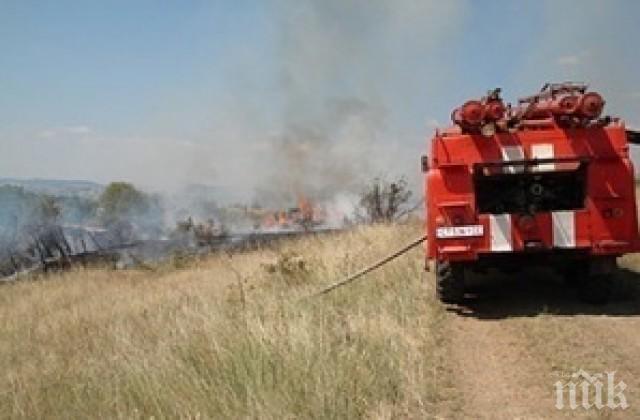 Кметът на Каварна разпореди мерки за безопасна жътва