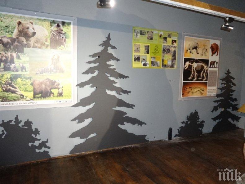 Отвориха музеите в Природен парк „Витоша“