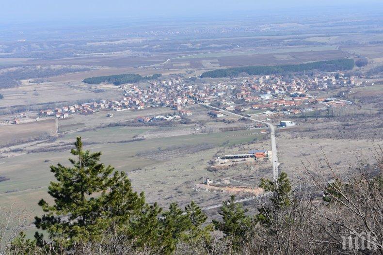 Проверяват за африканска чума по свинете в района на Асеновград