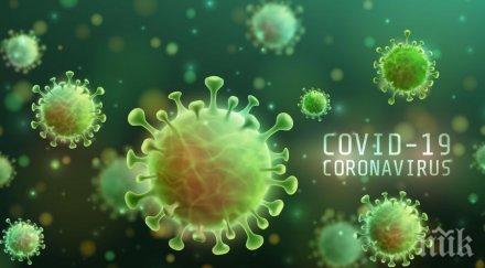 експерт възможно българия получи европарите възстановяване кризата септември