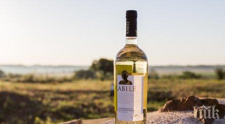 гледаме онлайн ритуал посрещане слънцето светилището кибела