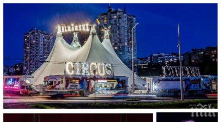 заради коронавируса цирк балкански фалит собственикът дири четвърт милион спаси атракциона