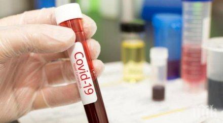 жена години новият случай covid добричка област