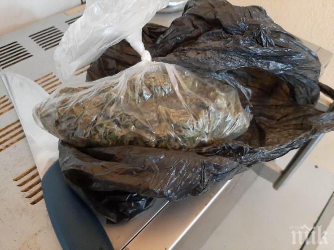ВЪЗРАСТТА ПАДА: Задържаха 17-годишен производител на дрога от Ръжево Конаре